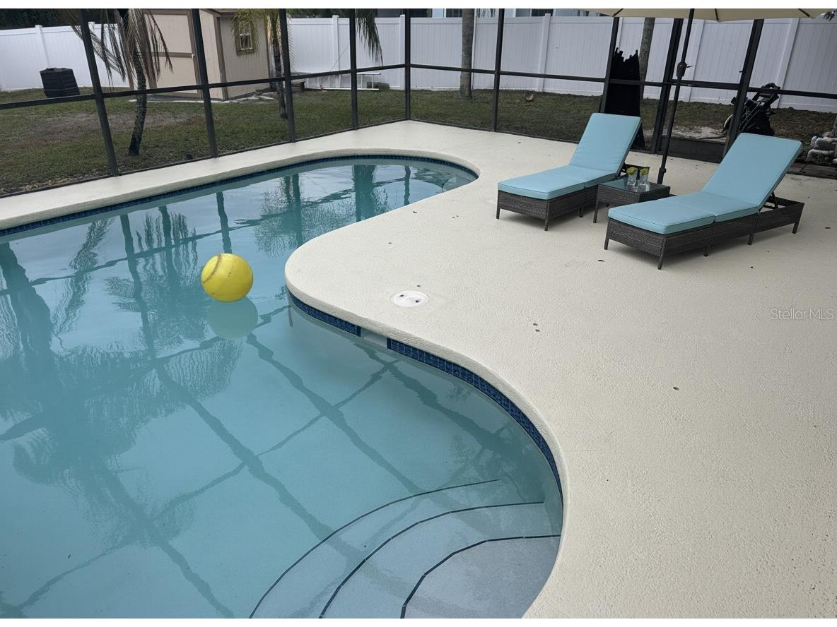 2908 Shannon Circle Palm Harbor FL 34684 TB8468399 image14