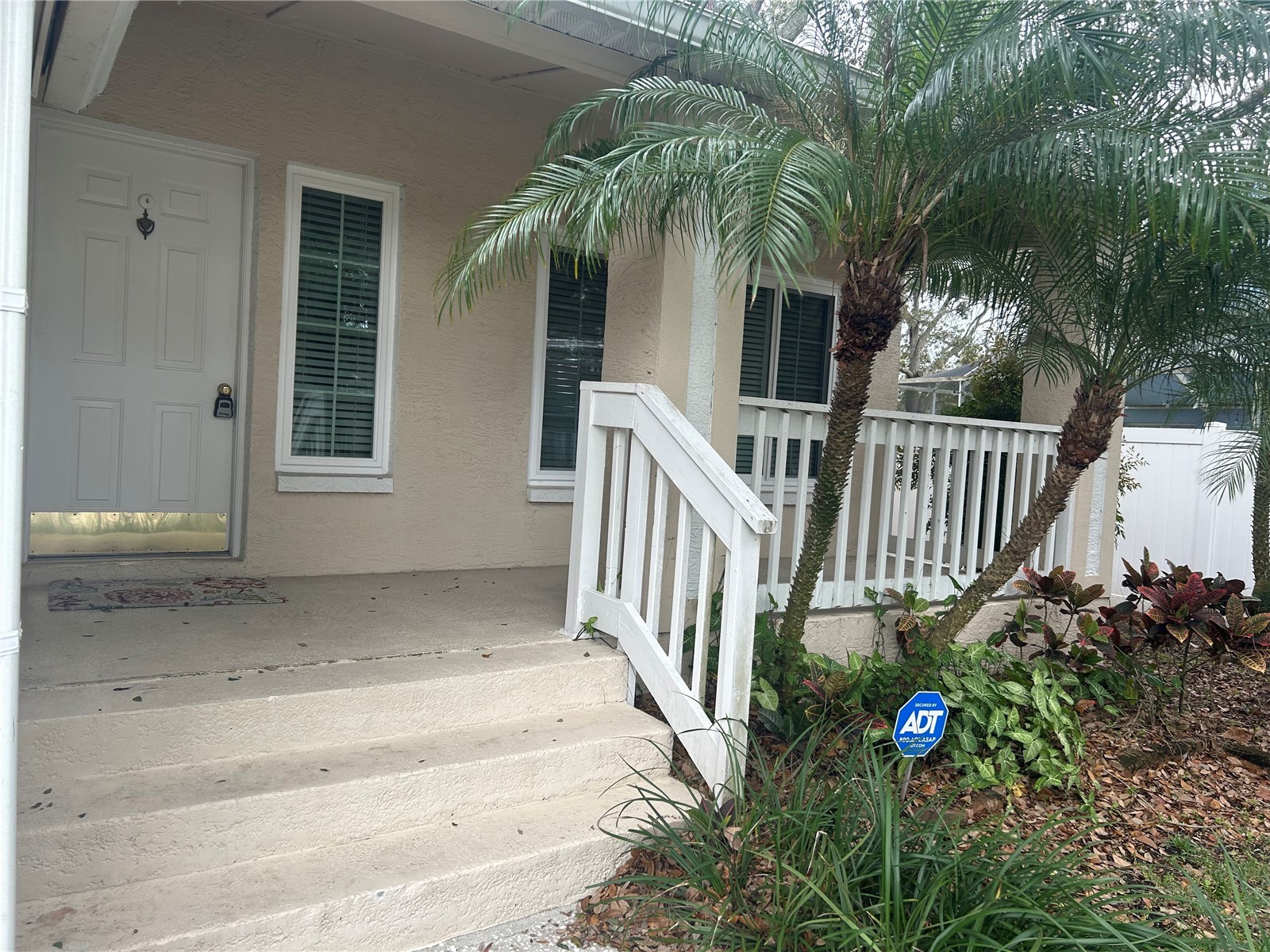 2908 Shannon Circle Palm Harbor FL 34684 TB8468399 image2
