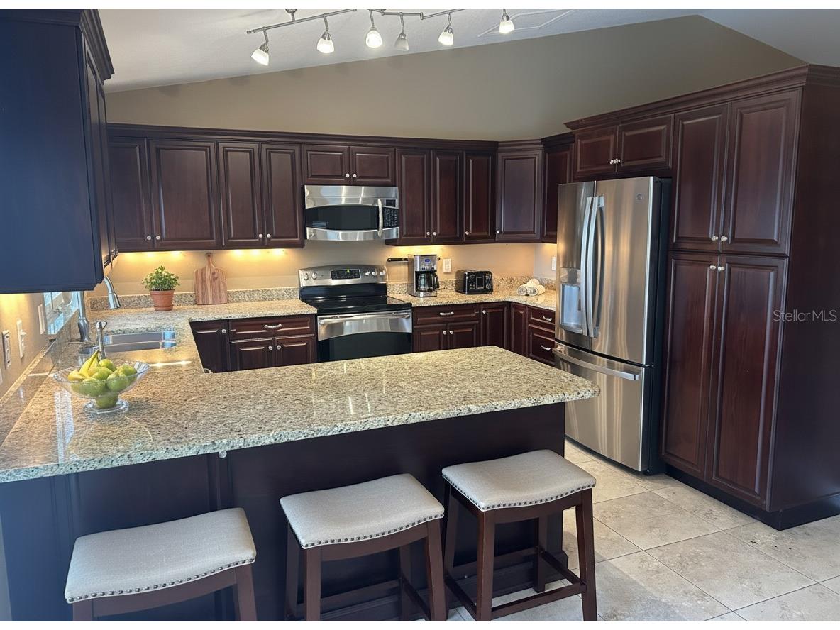 2908 Shannon Circle Palm Harbor FL 34684 TB8468399 image4