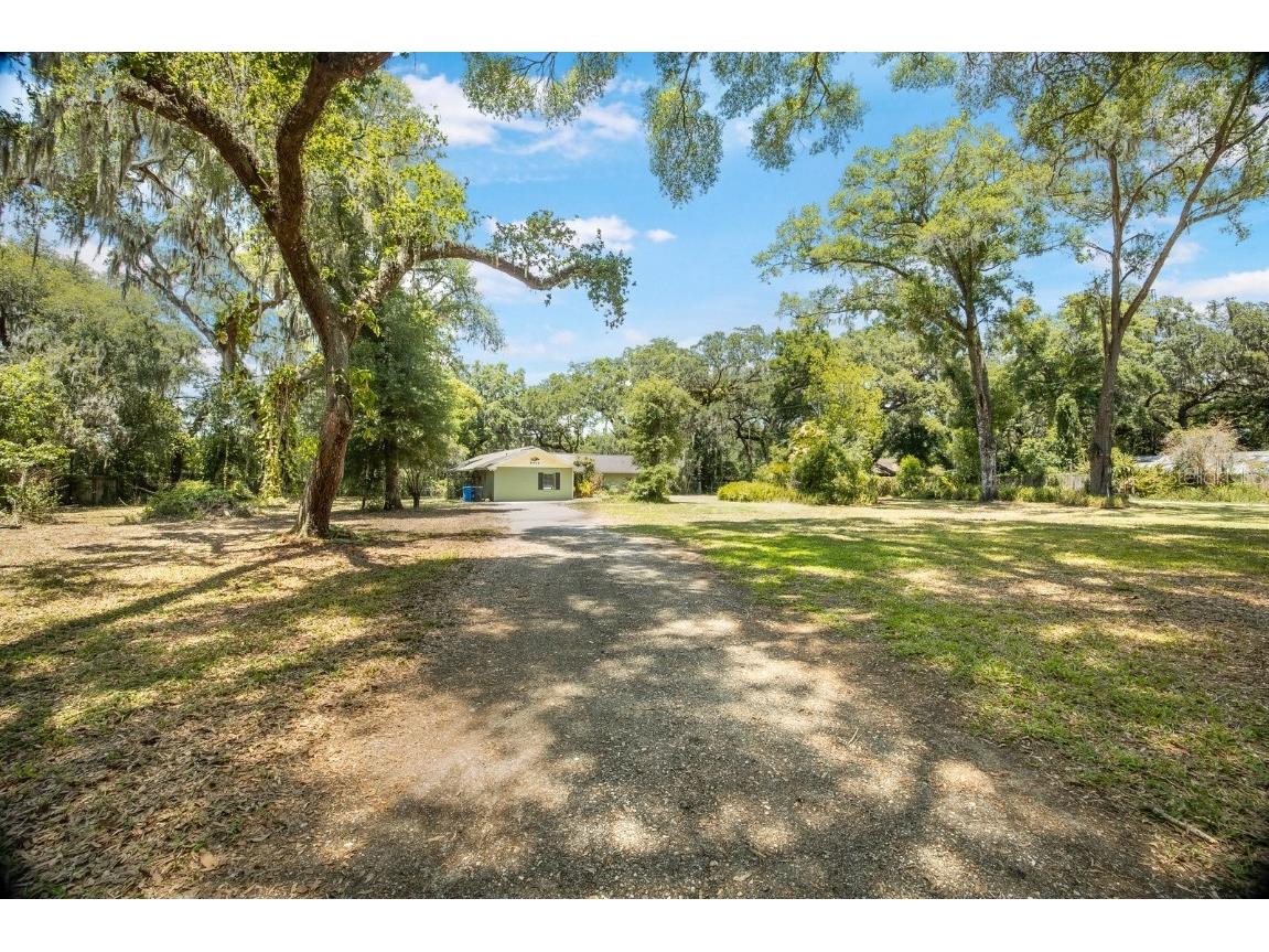 2908 Stearns Road Valrico FL 33596 U8244183 image1