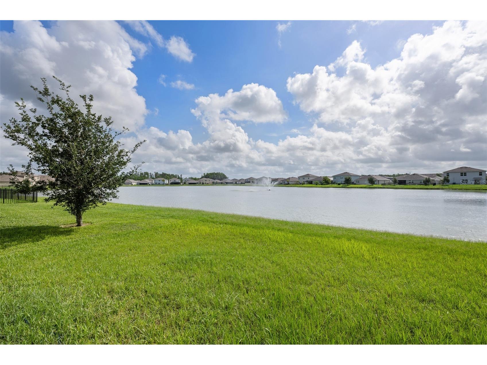 2908 Storybrook Preserve Drive Odessa FL 33556 TB8512281 image45