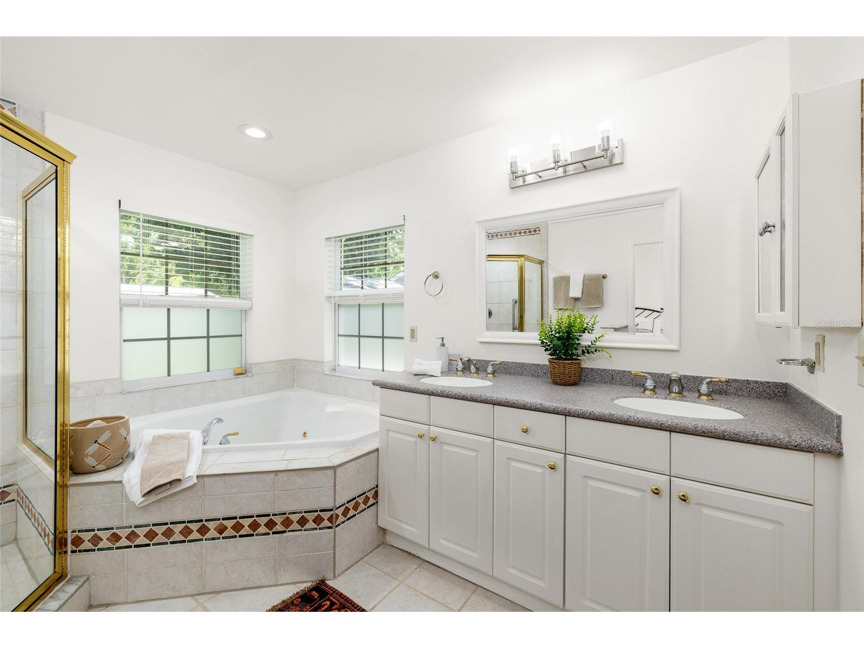 2908 W Ballast Point Boulevard Tampa FL 33611 TB8512511 image21
