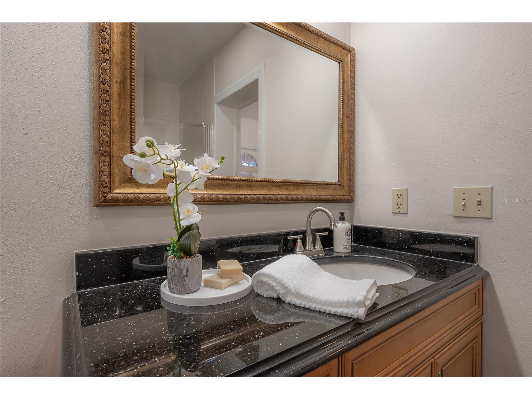 2908 Whittington Place Tampa FL 33618 TB8463409 image43