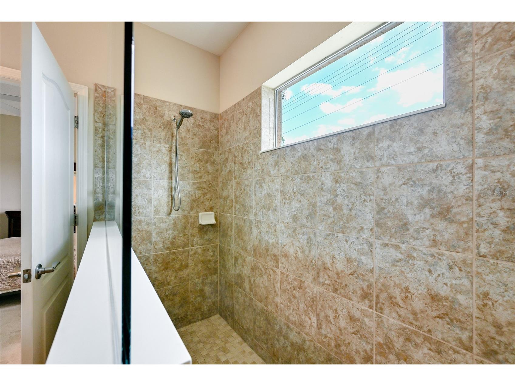2909 44th Court E Palmetto FL 34221 A4690421 image25