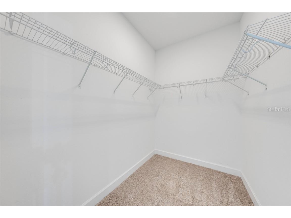 2909 Annalee Road Saint Cloud FL 34771 - ALLIGATOR CHAIN S5136822 image24