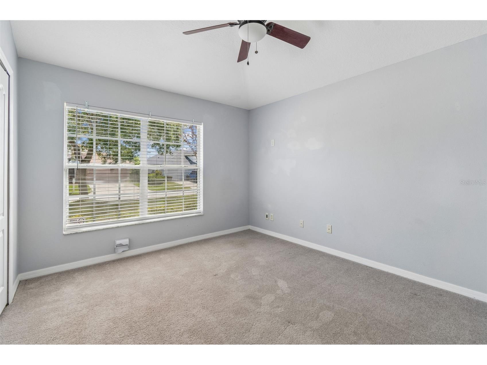 2909 Billingham Drive Land O Lakes FL 34639 TB8487836 image19