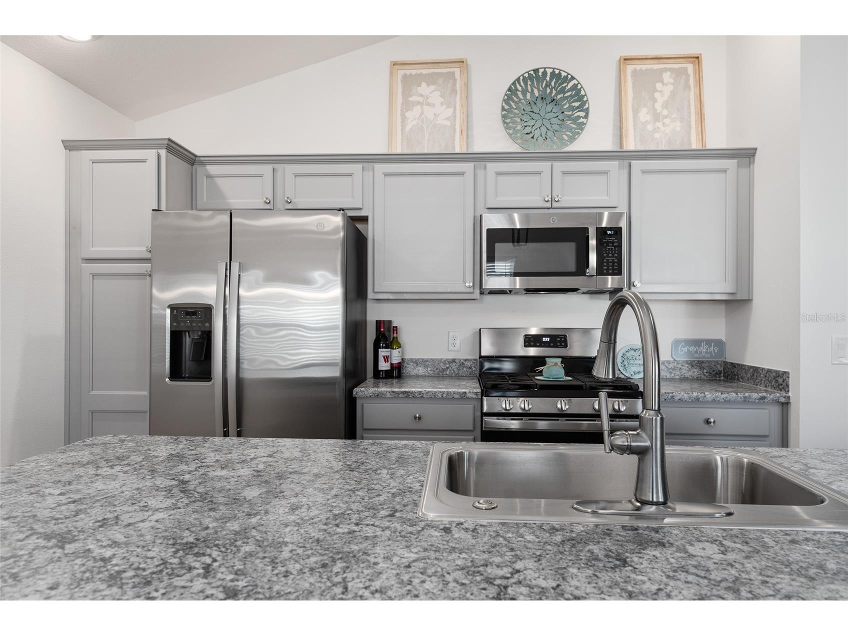 2909 Chimborazo Way The Villages FL 32163 G5111733 image17