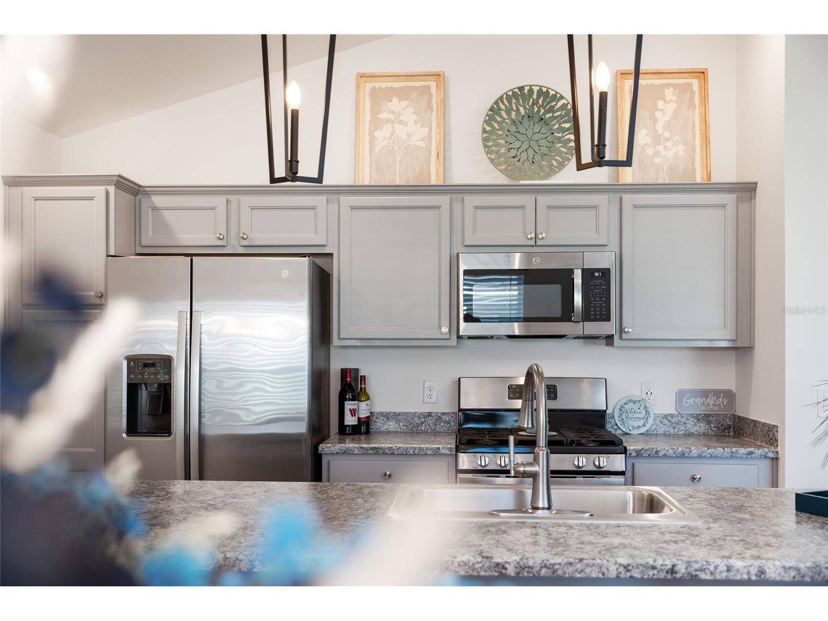 2909 Chimborazo Way The Villages FL 32163 G5111733 image22