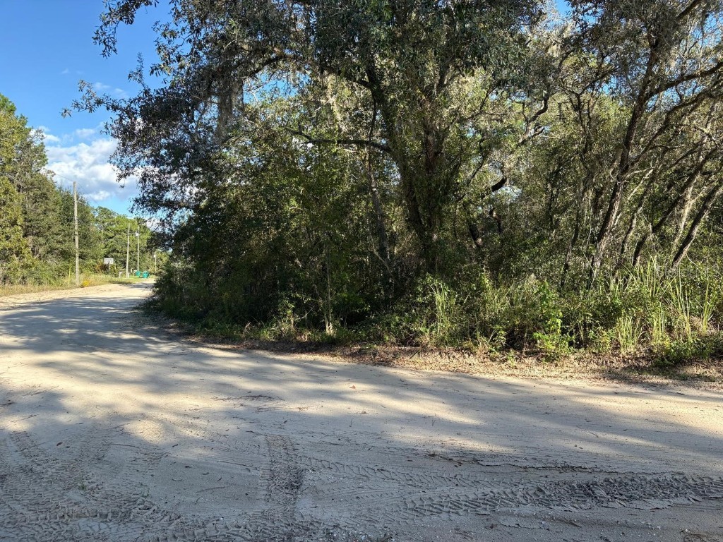 2909 Eastwood Street Inverness FL 34452 TB8445606 image3