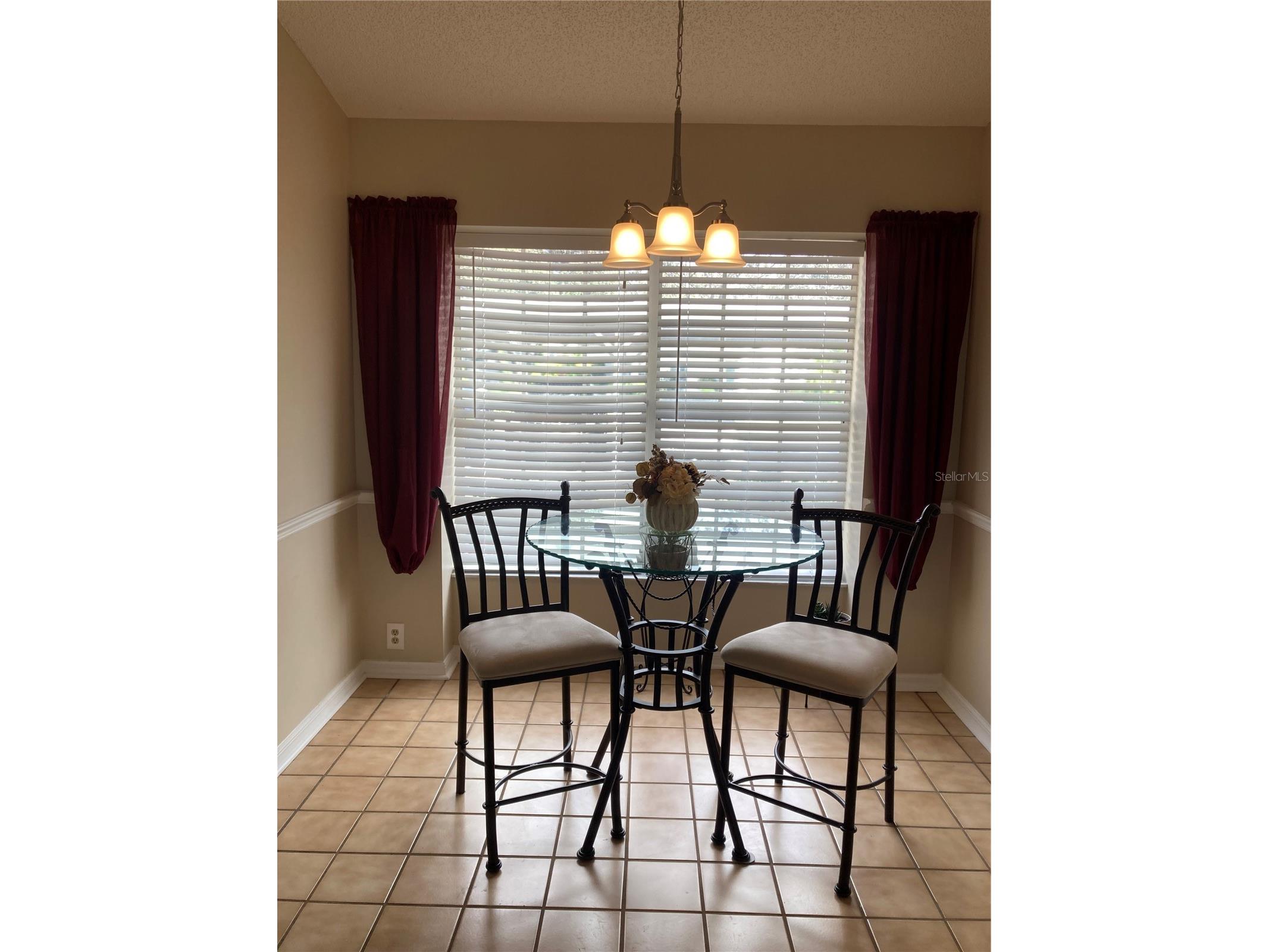 2909 Featherstone Drive Holiday FL 34691 W7877613 image8