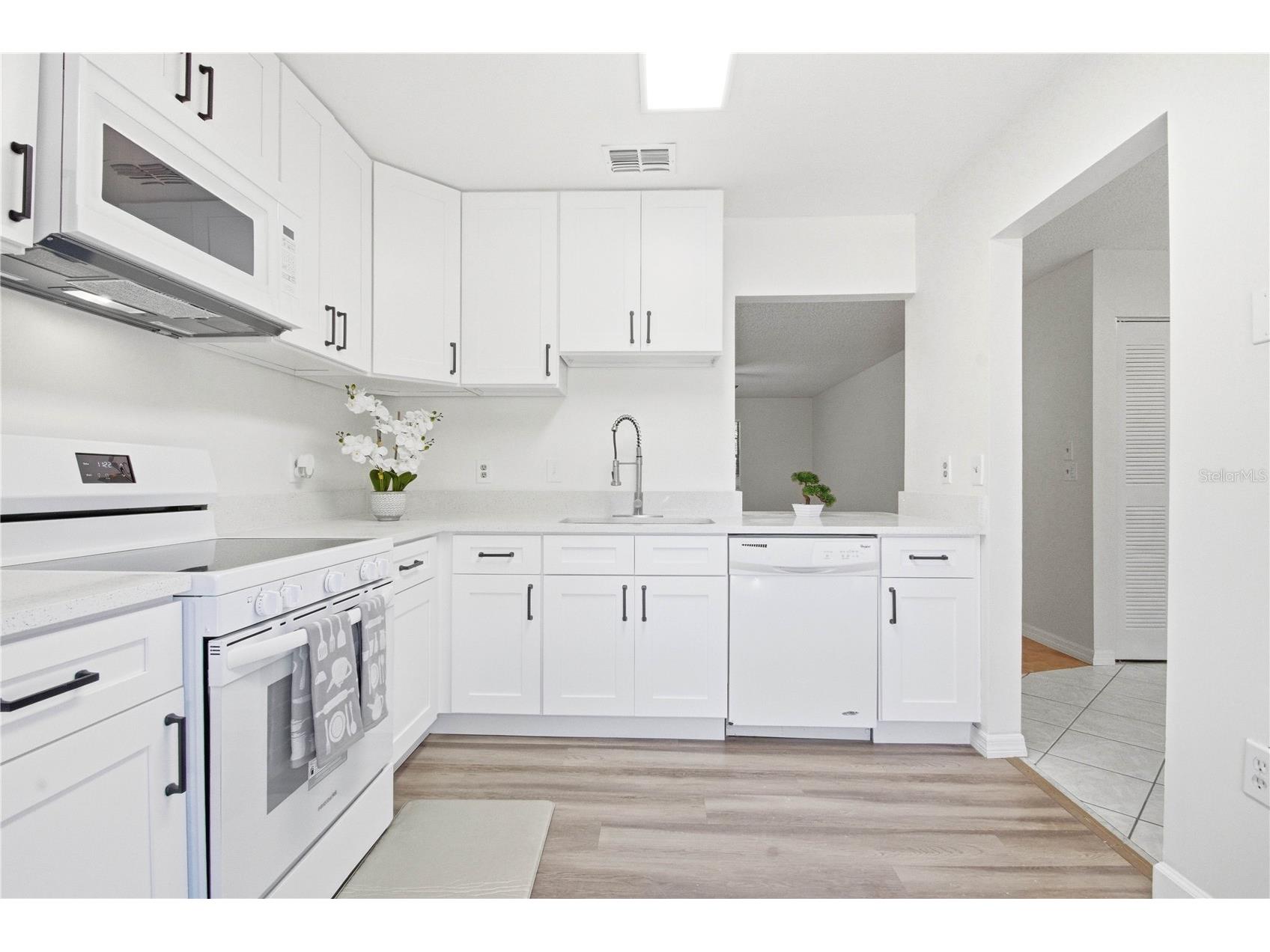 2909 Fig Court Palm Harbor FL 34684 TB8506291 image13