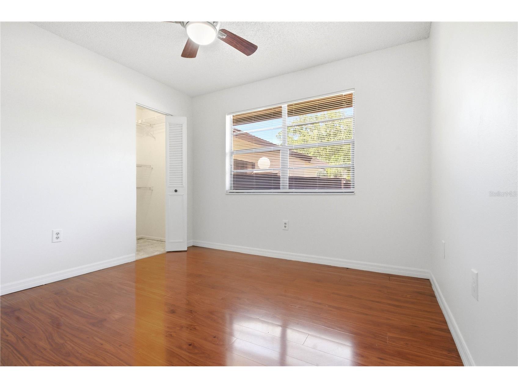 2909 Fig Court Palm Harbor FL 34684 TB8506291 image16