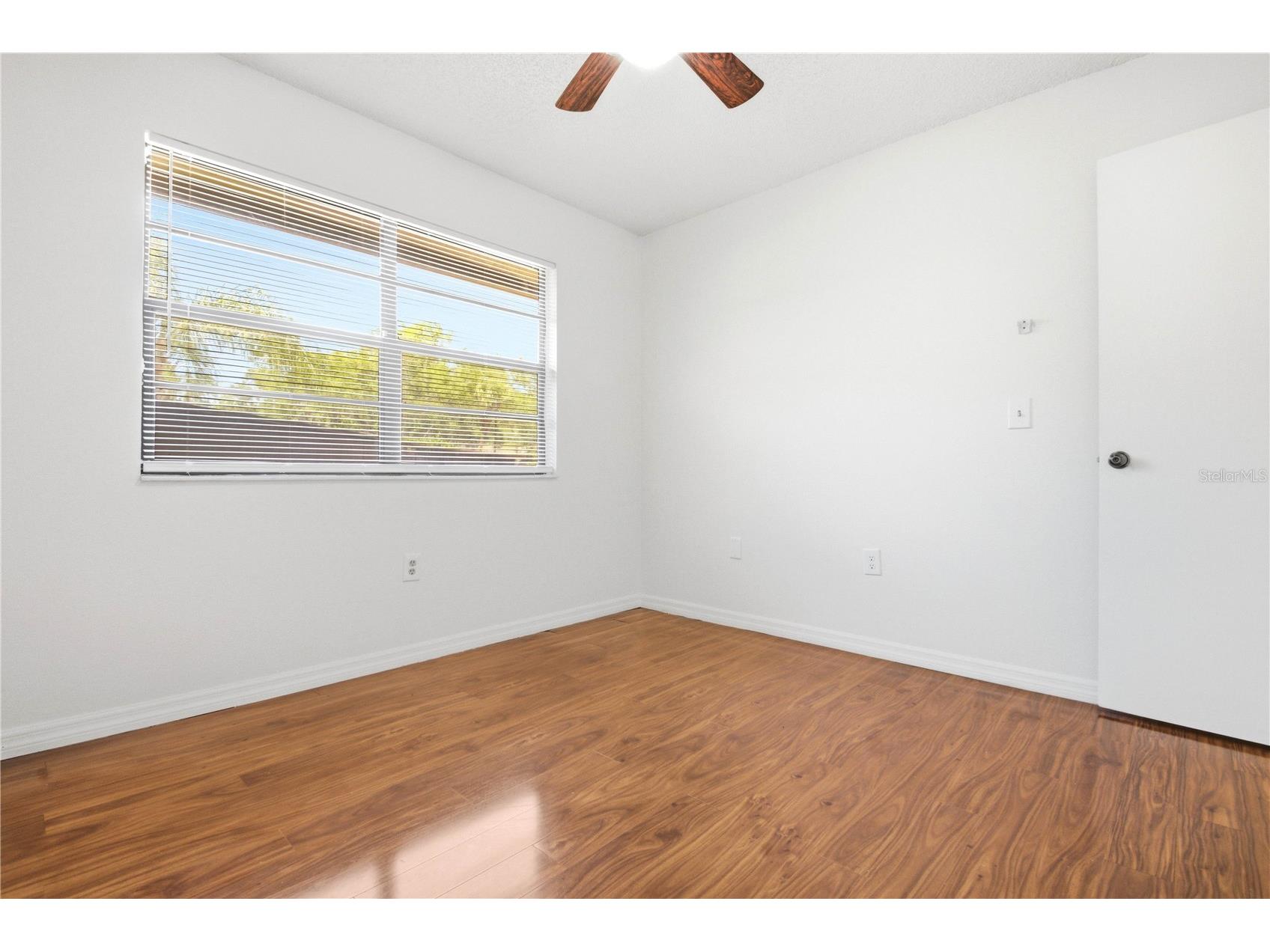 2909 Fig Court Palm Harbor FL 34684 TB8506291 image18
