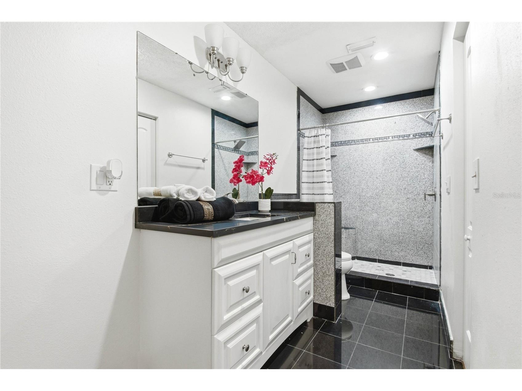 2909 Fig Court Palm Harbor FL 34684 TB8506291 image25
