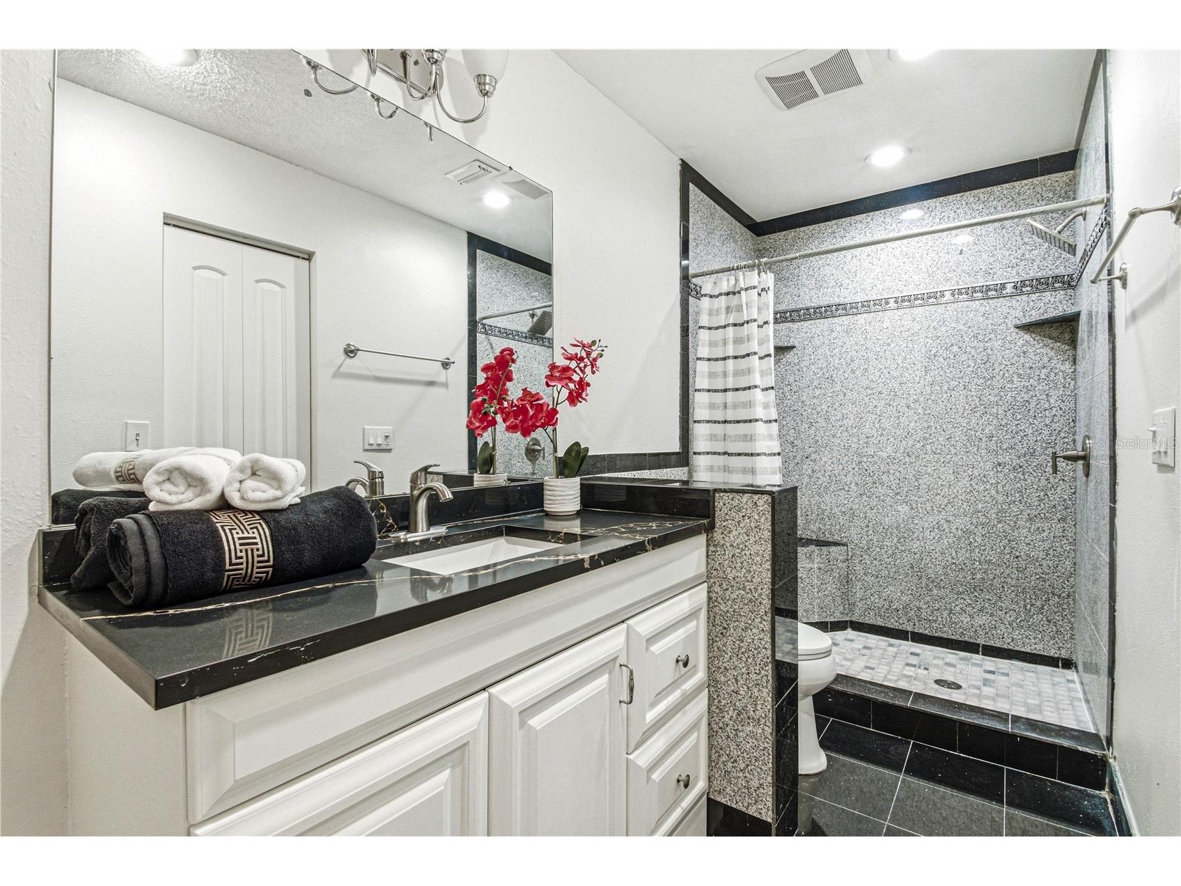 2909 Fig Court Palm Harbor FL 34684 TB8506291 image27