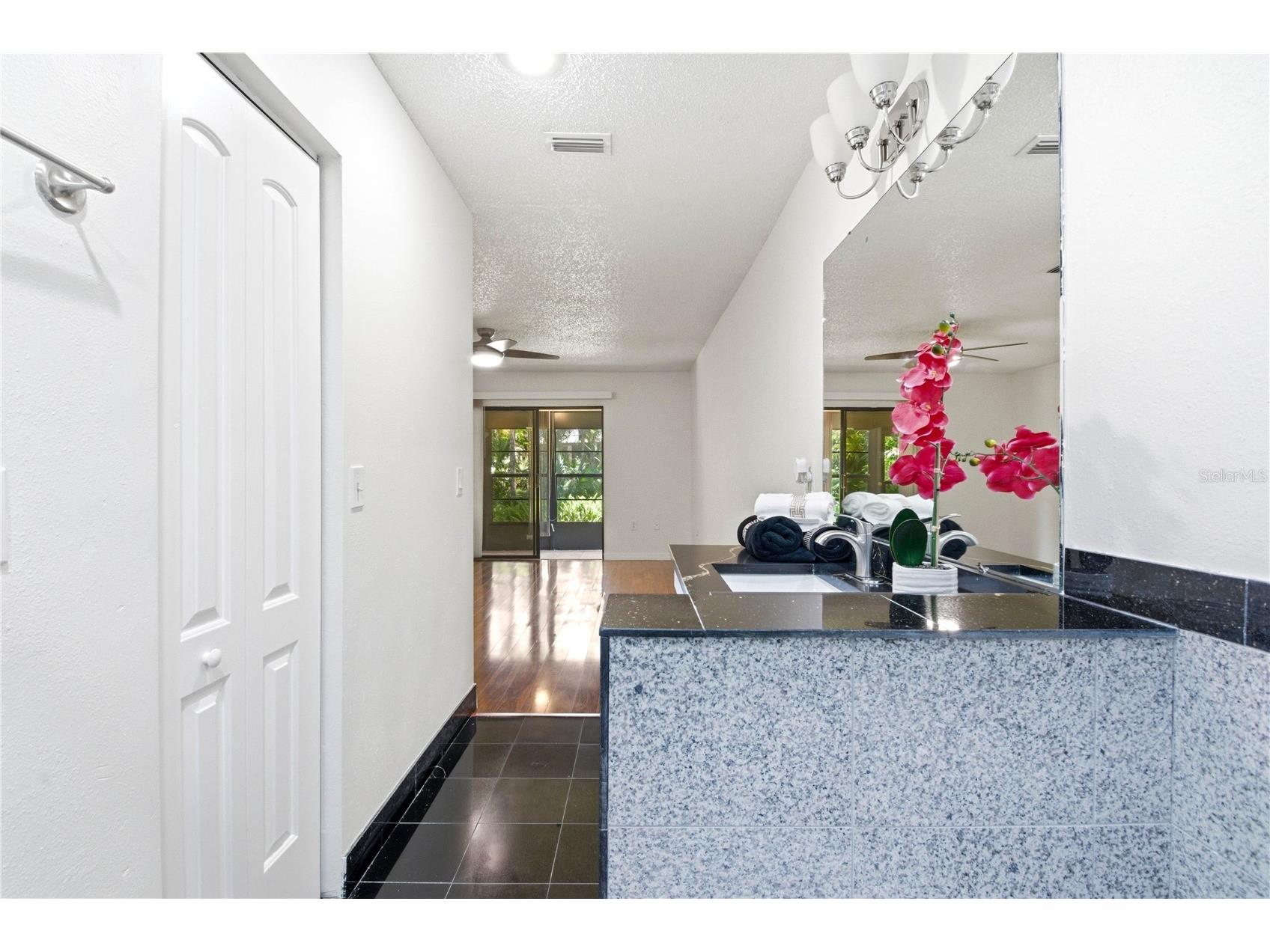 2909 Fig Court Palm Harbor FL 34684 TB8506291 image28
