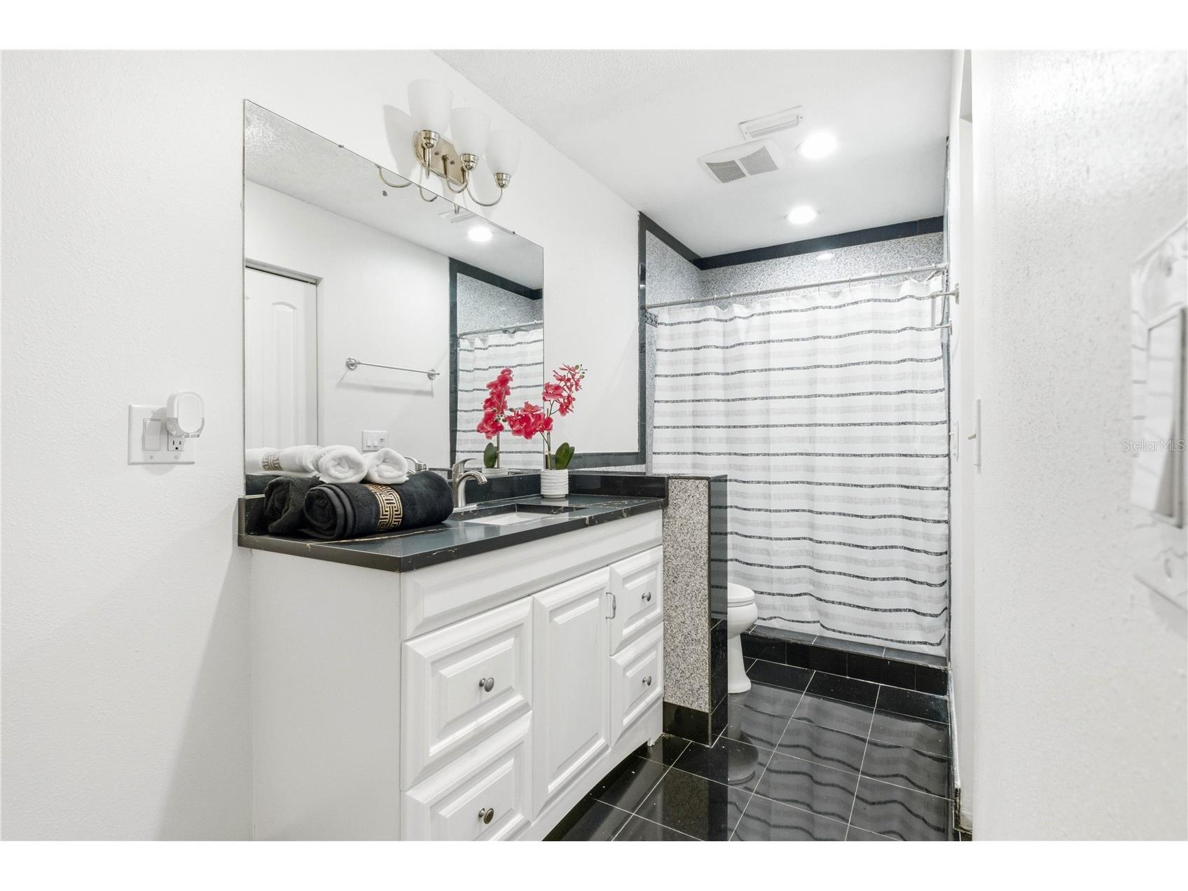 2909 Fig Court Palm Harbor FL 34684 TB8506291 image29