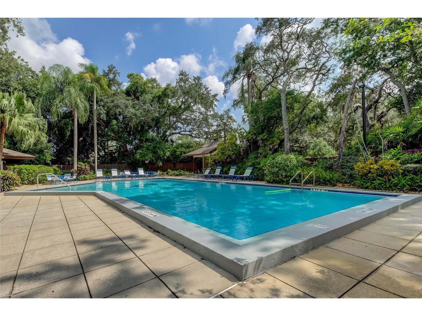2909 Fig Court Palm Harbor FL 34684 TB8506291 image39