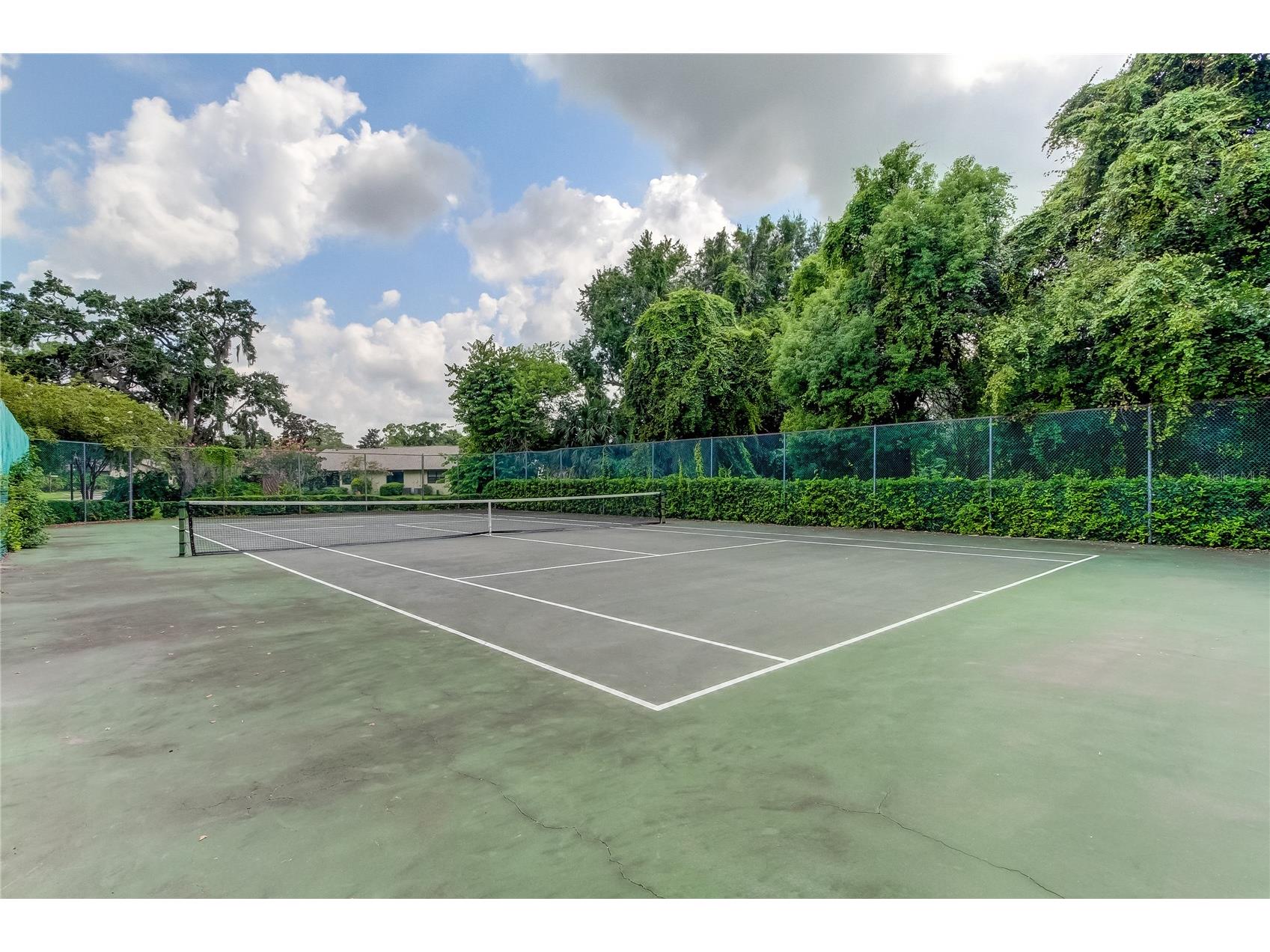 2909 Fig Court Palm Harbor FL 34684 TB8506291 image43