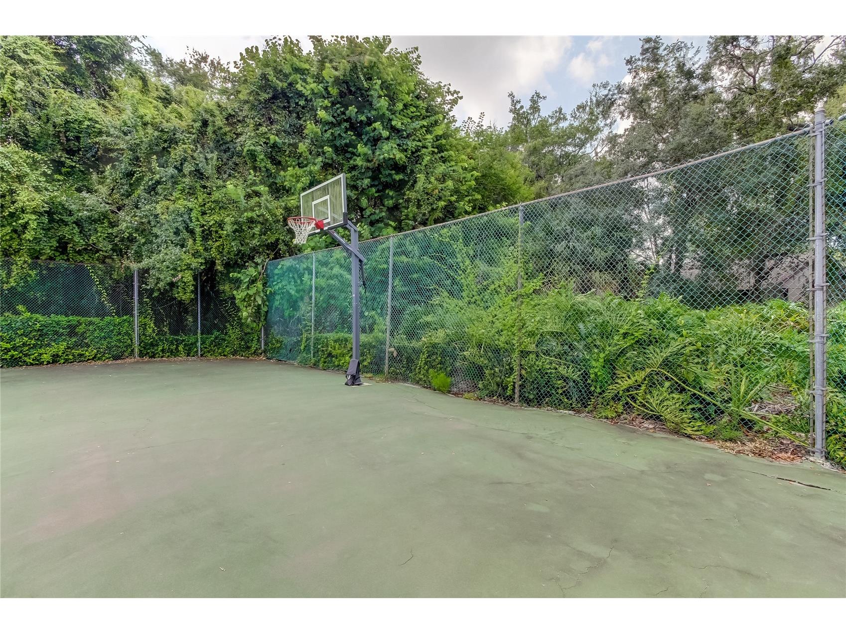 2909 Fig Court Palm Harbor FL 34684 TB8506291 image44