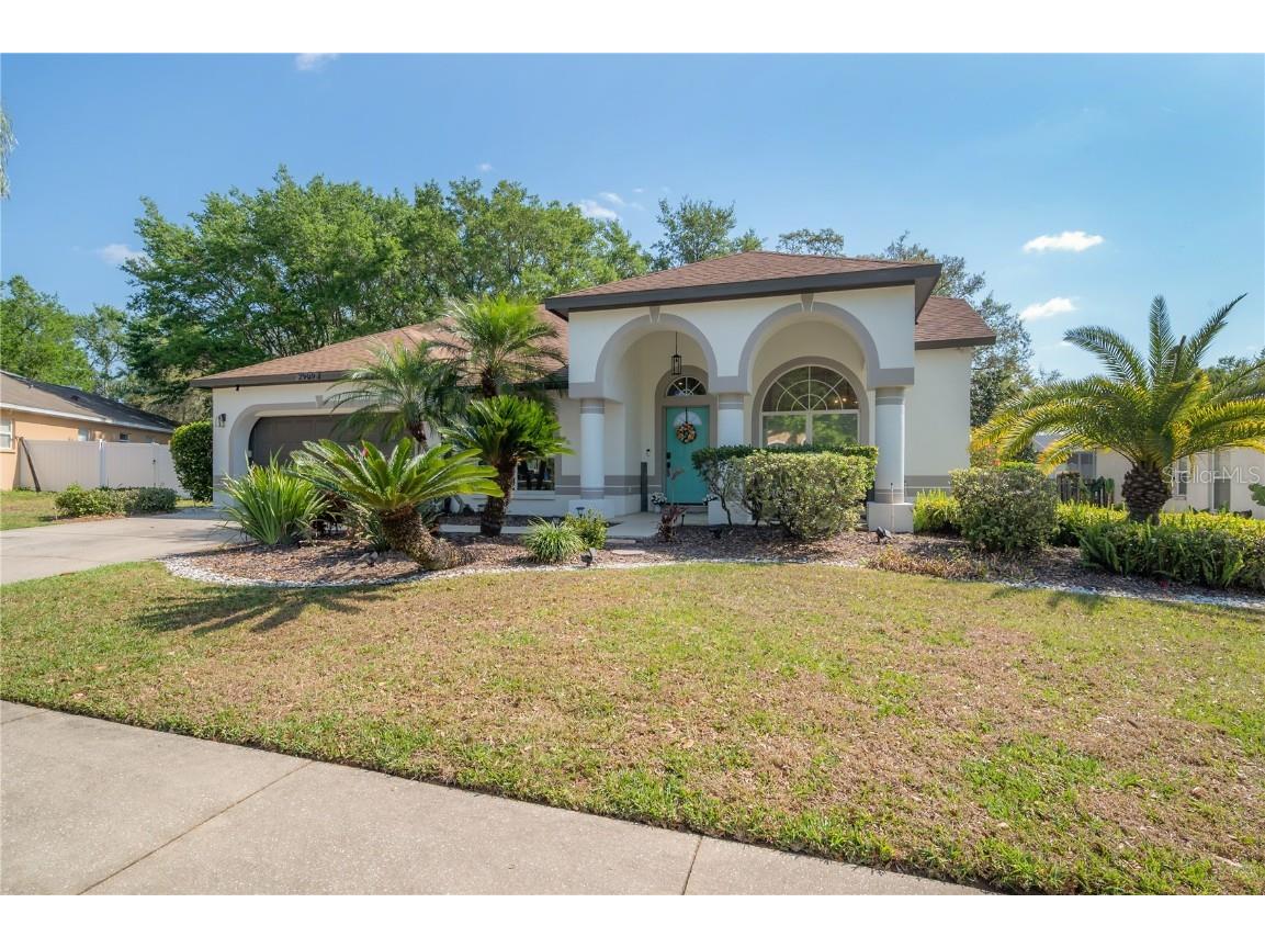 2909 Folklore Drive Valrico FL 33596 TB8342216 image1