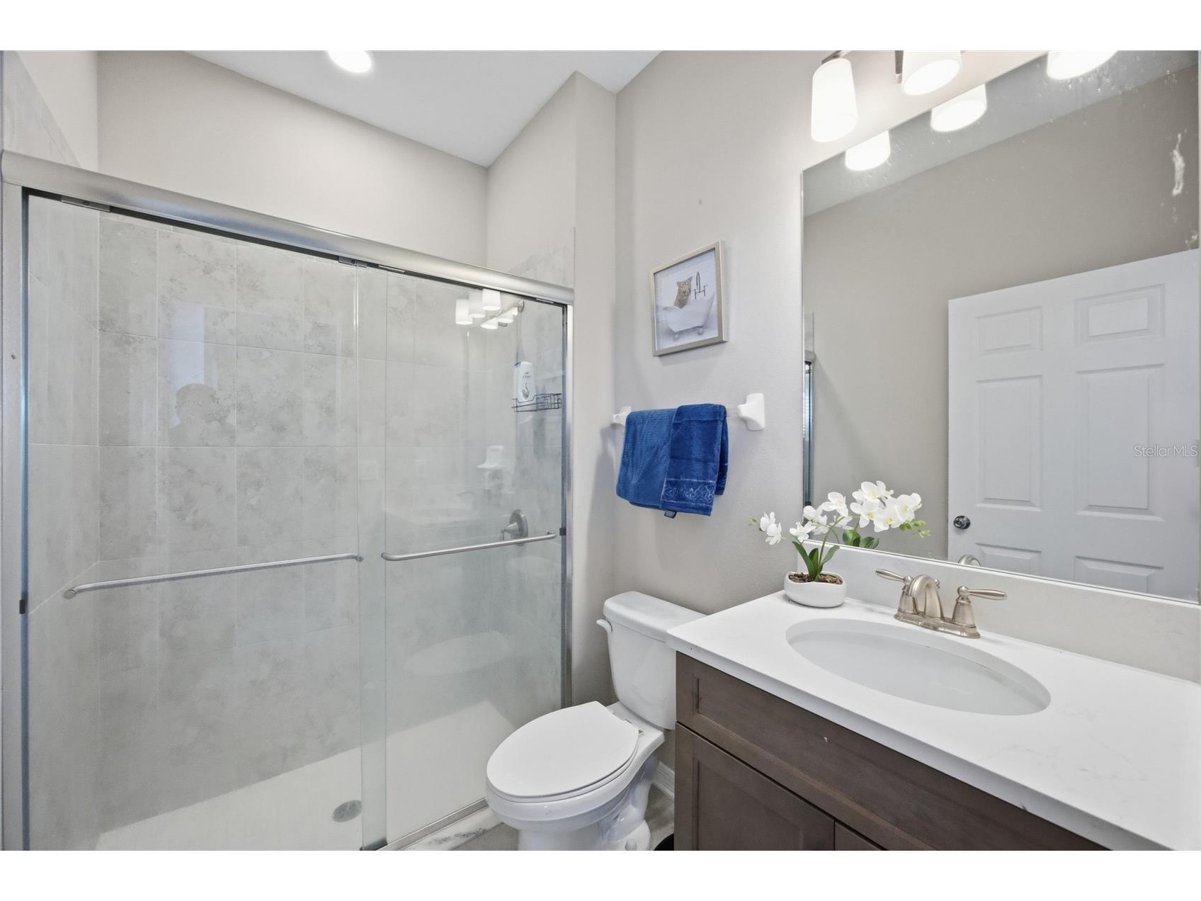 2909 Ivory Bluff Court Zephyrhills FL 33540 TB8472879 image17