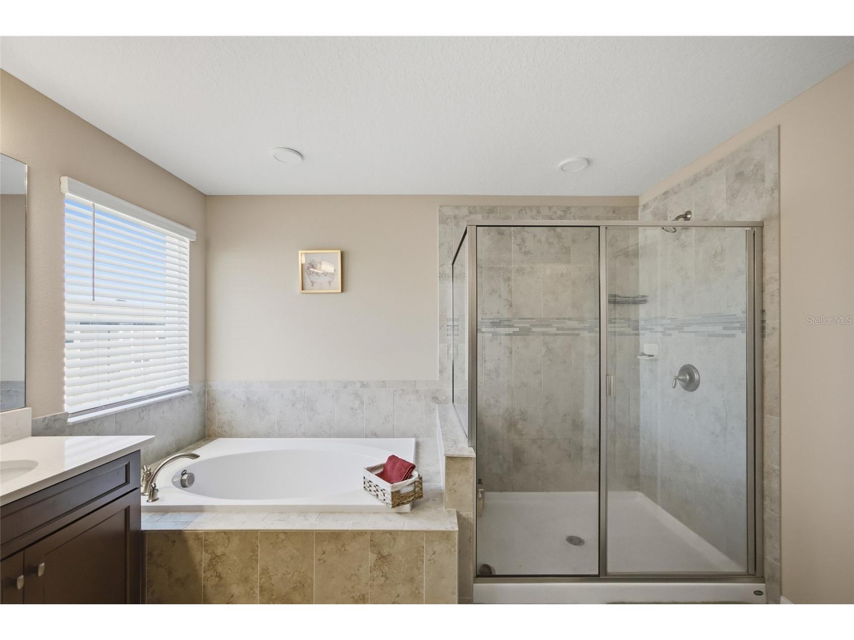 2909 Ivory Bluff Court Zephyrhills FL 33540 TB8472879 image25