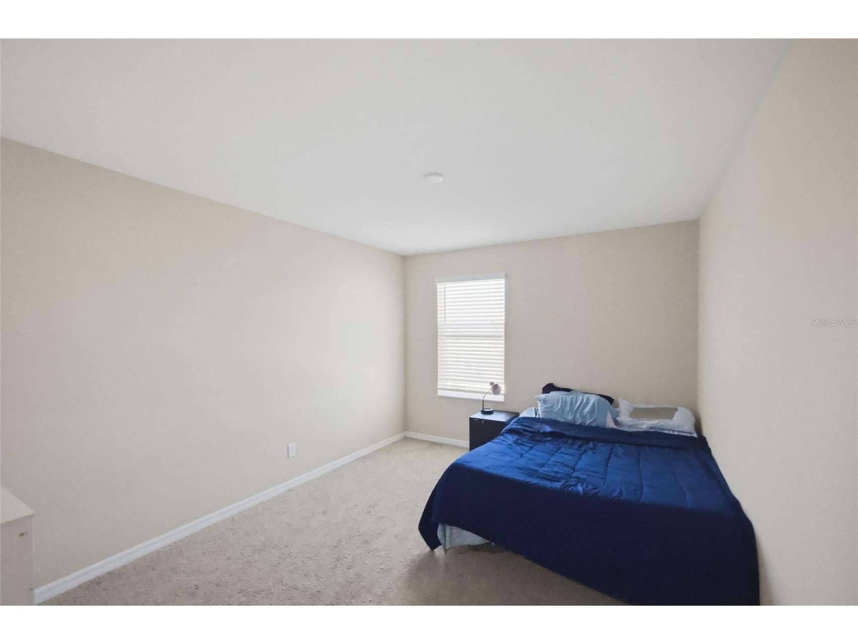 2909 Ivory Bluff Court Zephyrhills FL 33540 TB8472879 image26