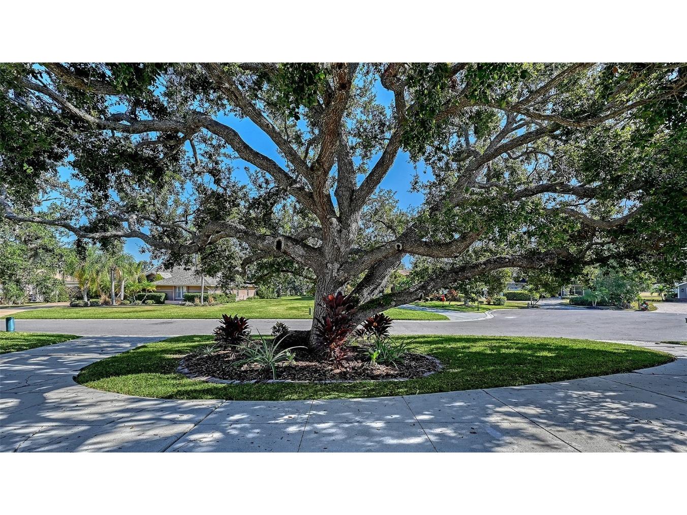 2909 Old Orchard Lane Parrish FL 34219 - MANATEE RIVER A4673103 image13