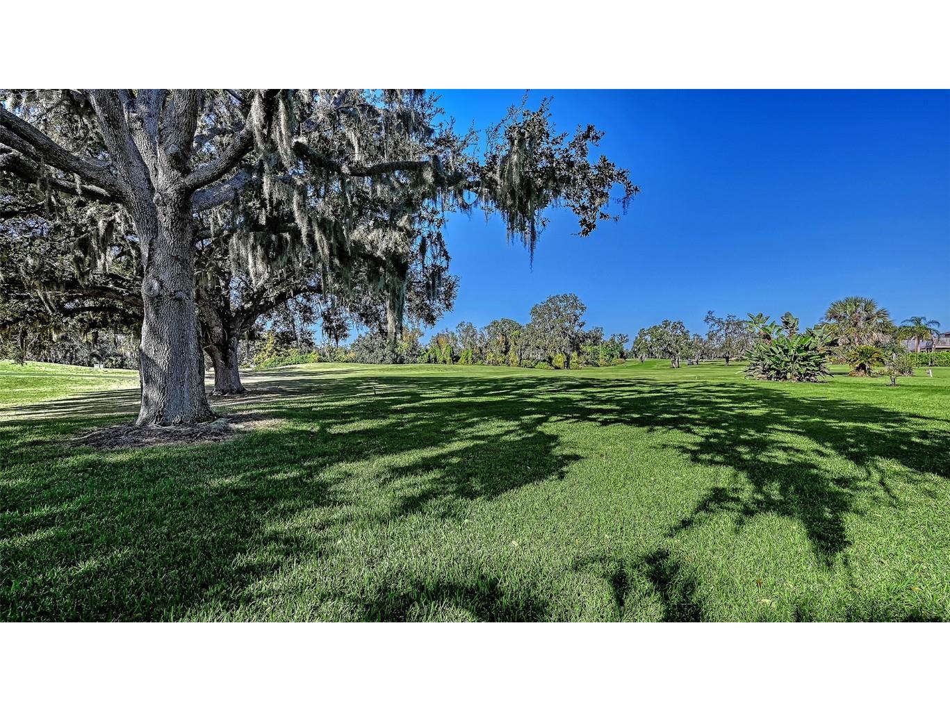 2909 Old Orchard Lane Parrish FL 34219 - MANATEE RIVER A4673103 image56