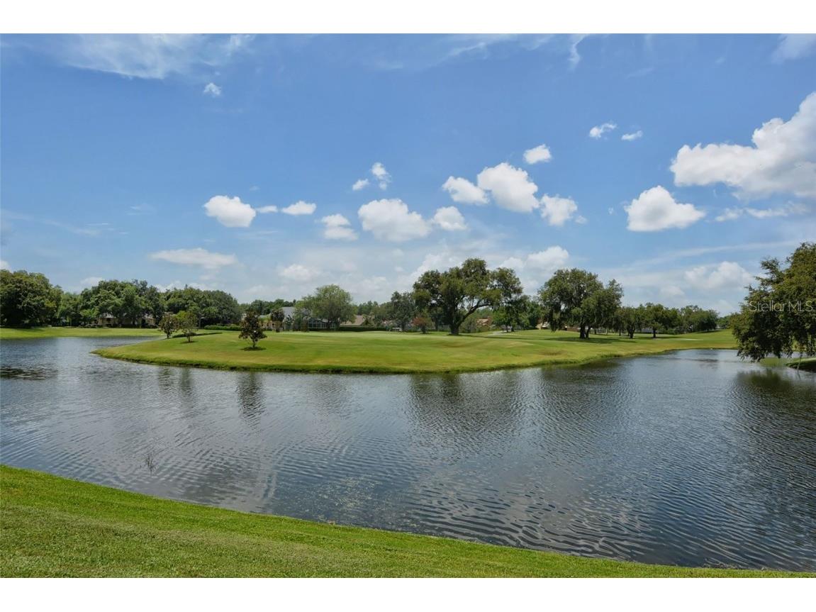 2909 Old Orchard Lane Parrish FL 34219 - MANATEE RIVER A4673103 image68