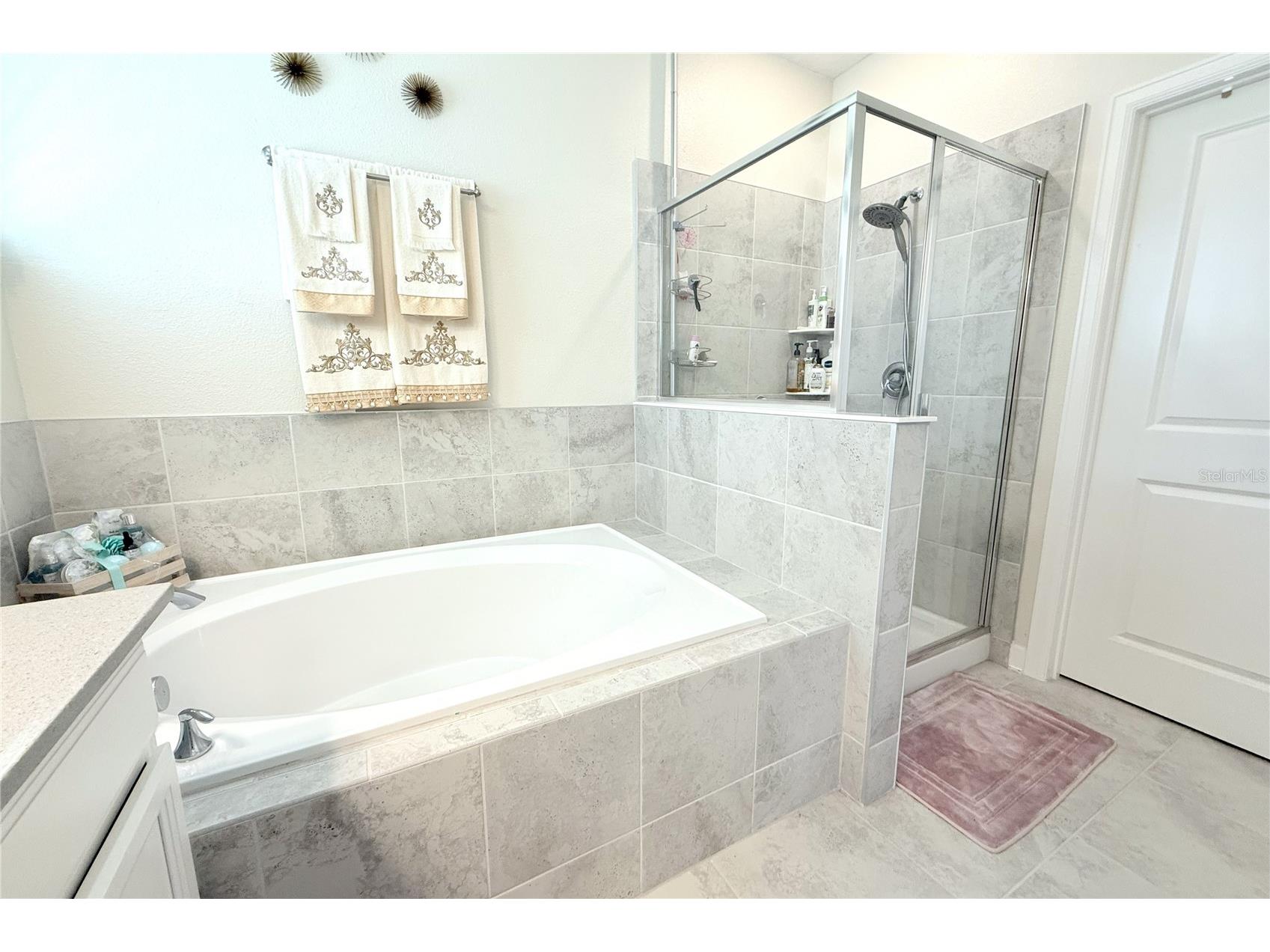 2909 Theme Street Kissimmee FL 34746 S5144980 image20