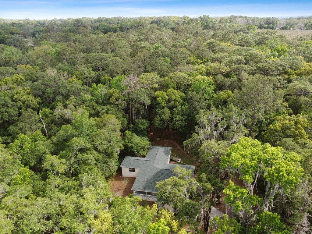 291 Brockway Lane Brooksville FL 34601 U8234524 image1