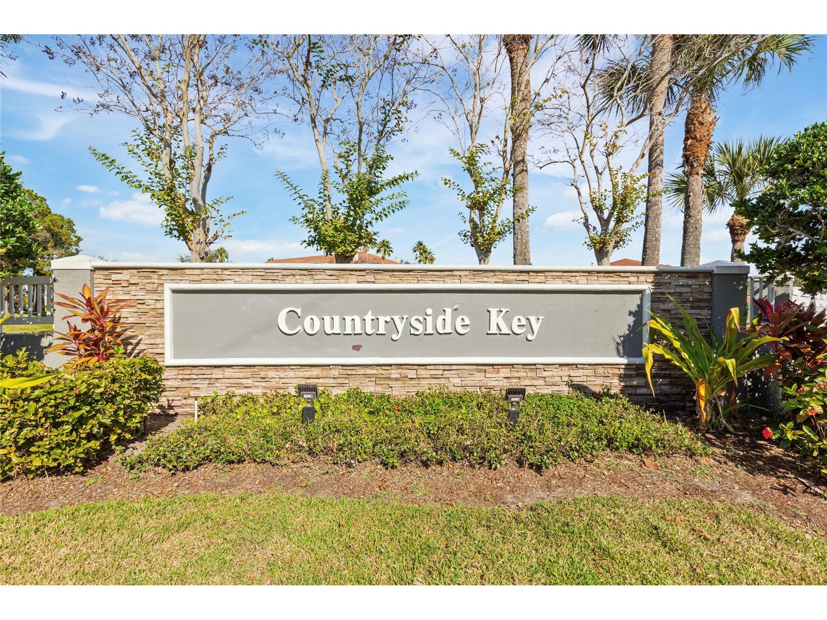 291 Countryside Key Boulevard Oldsmar FL 34677 TB8463435 image34
