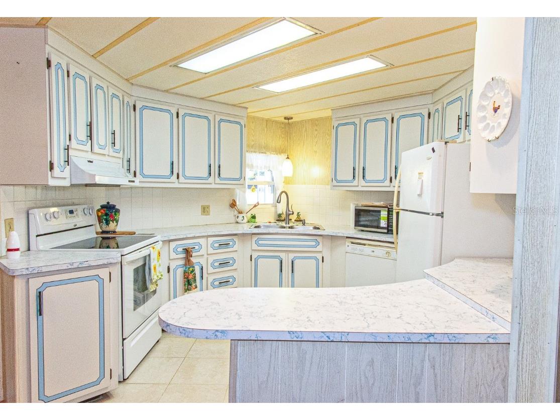 291 Lake Tarpon Drive Palm Harbor FL 34684 TB8460996 image19