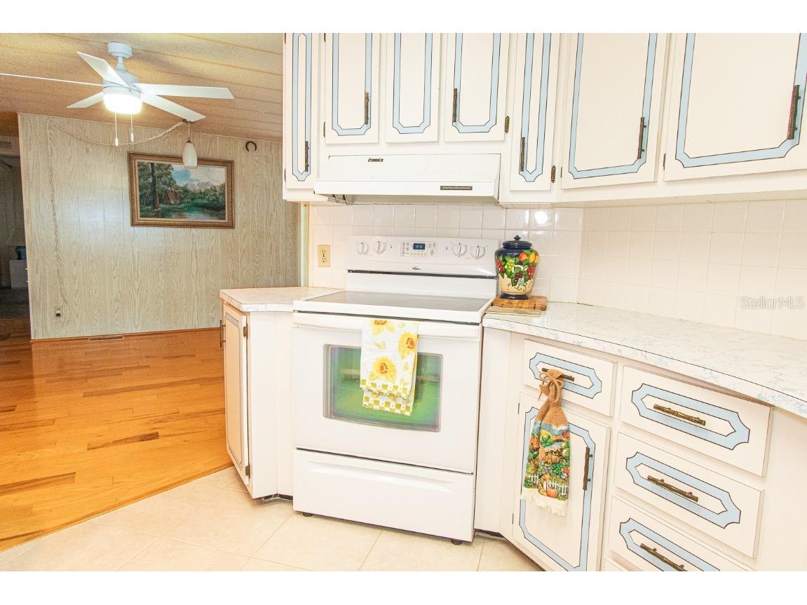 291 Lake Tarpon Drive Palm Harbor FL 34684 TB8460996 image23