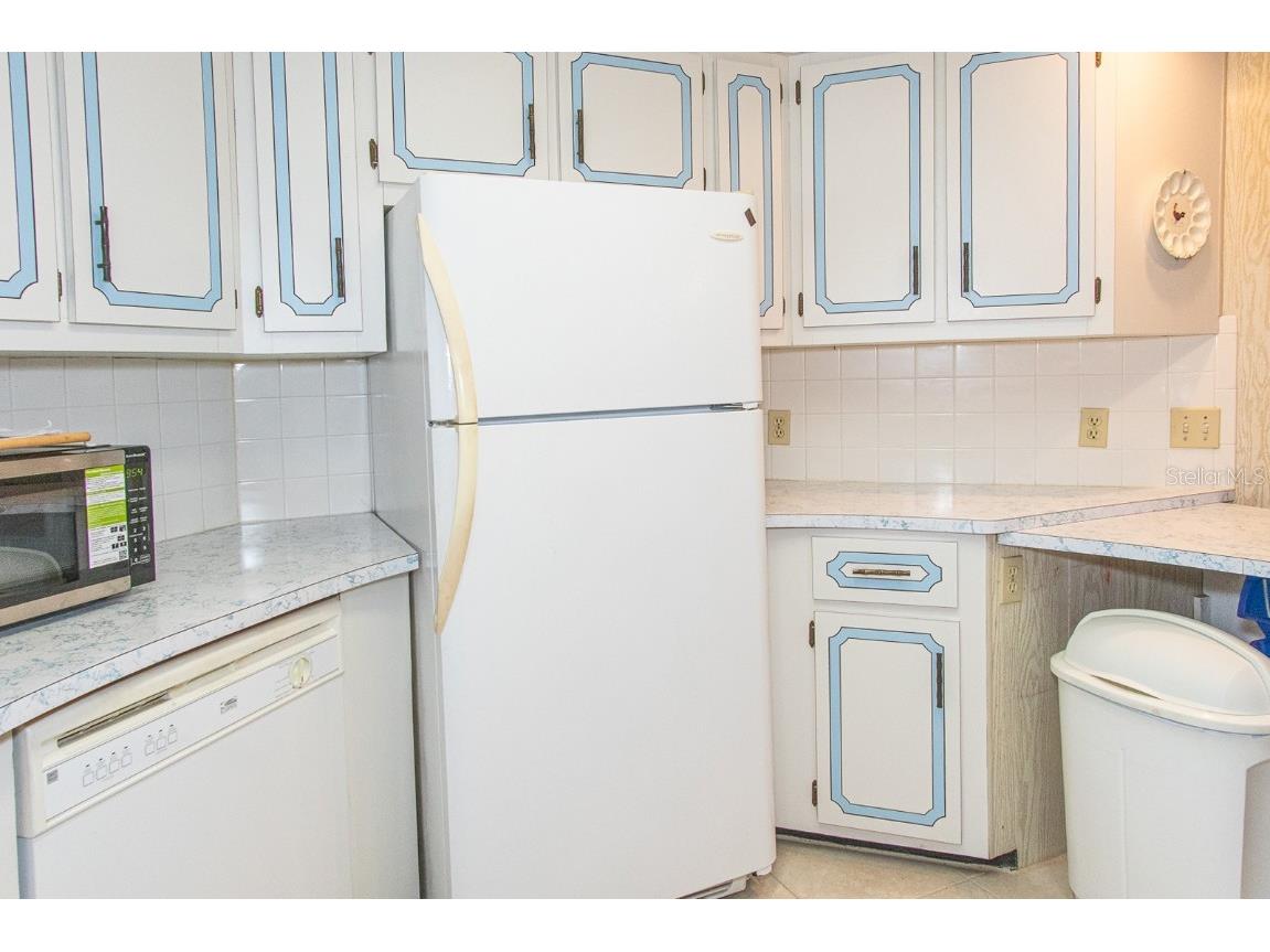 291 Lake Tarpon Drive Palm Harbor FL 34684 TB8460996 image24