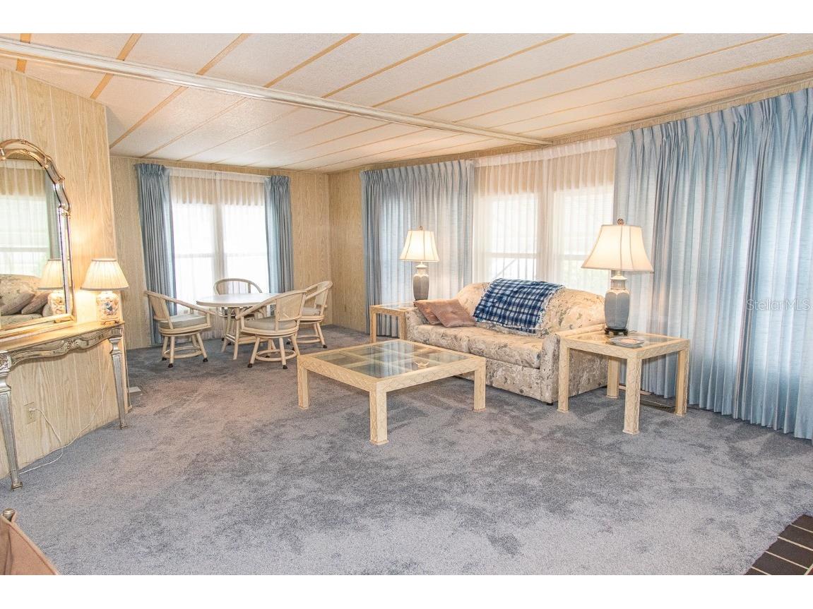 291 Lake Tarpon Drive Palm Harbor FL 34684 TB8460996 image29