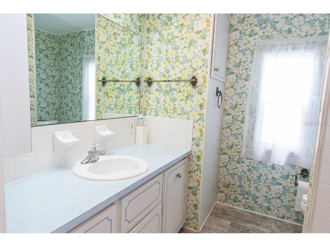 291 Lake Tarpon Drive Palm Harbor FL 34684 TB8460996 image32