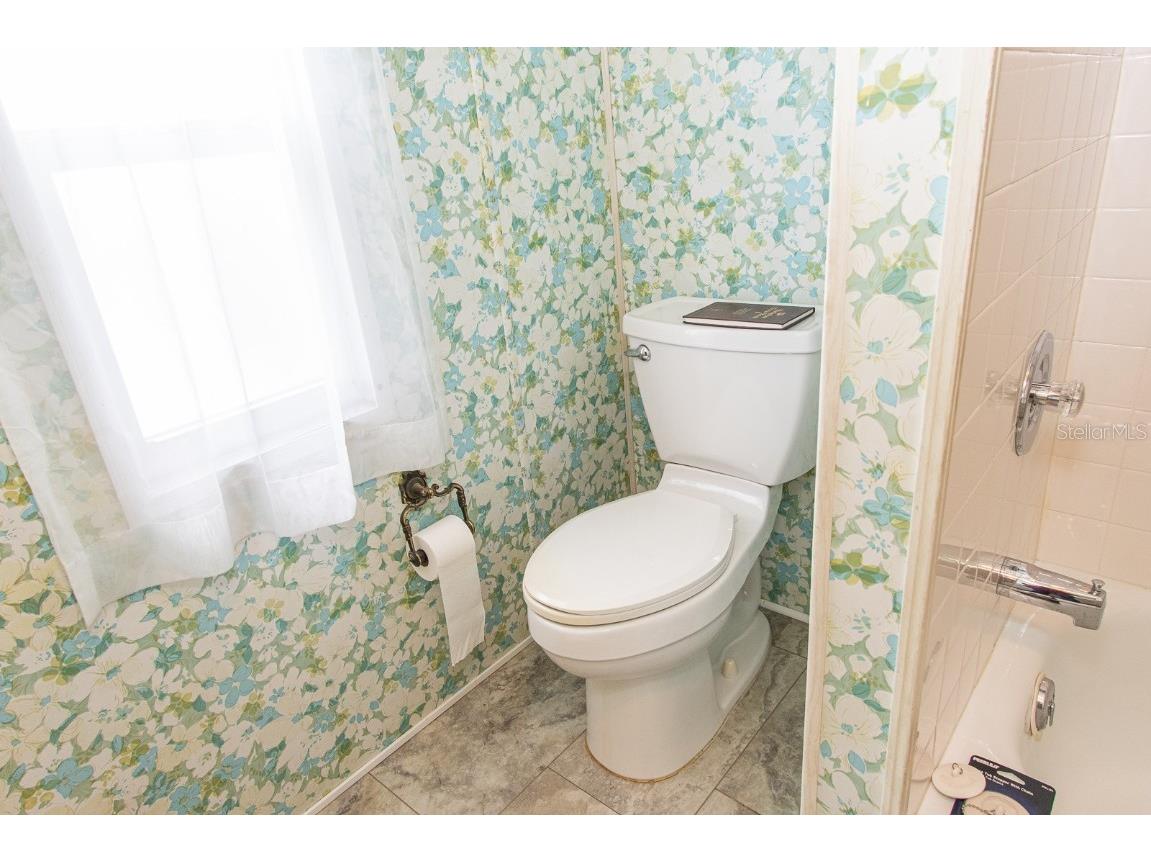 291 Lake Tarpon Drive Palm Harbor FL 34684 TB8460996 image33