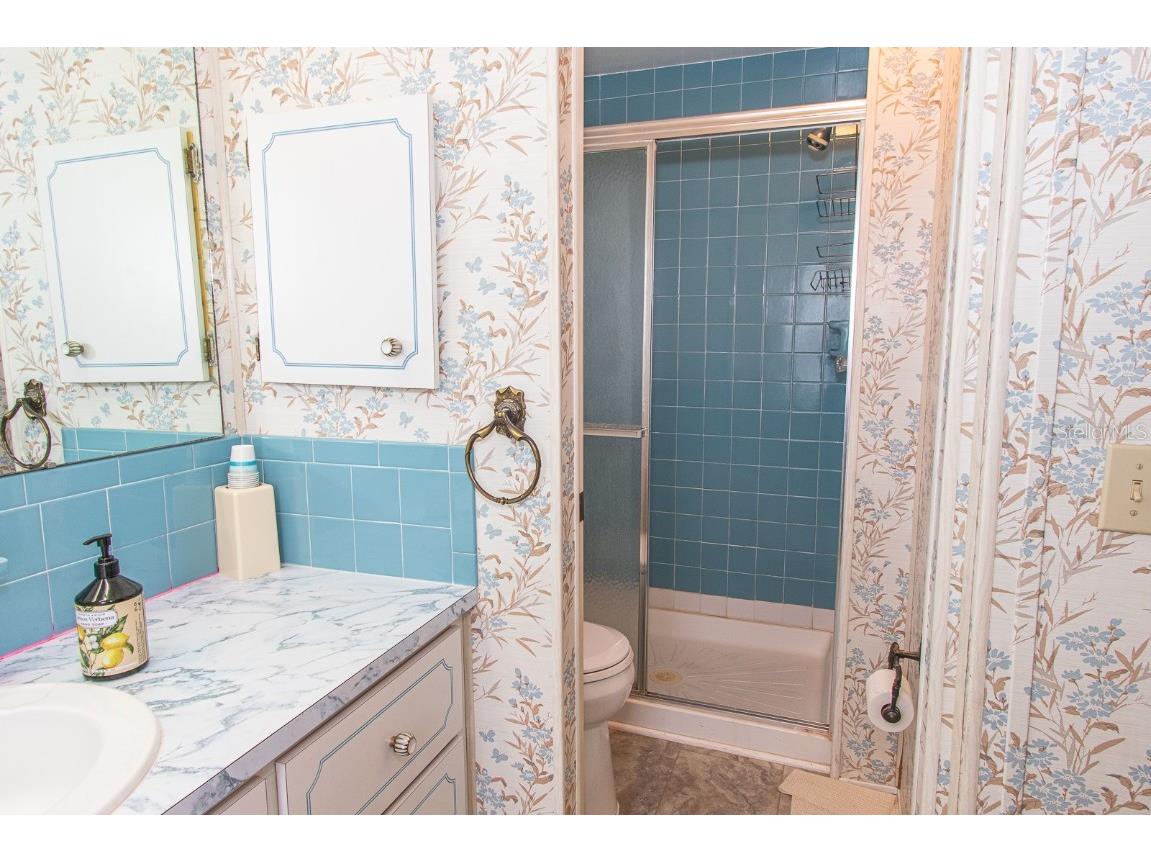 291 Lake Tarpon Drive Palm Harbor FL 34684 TB8460996 image40