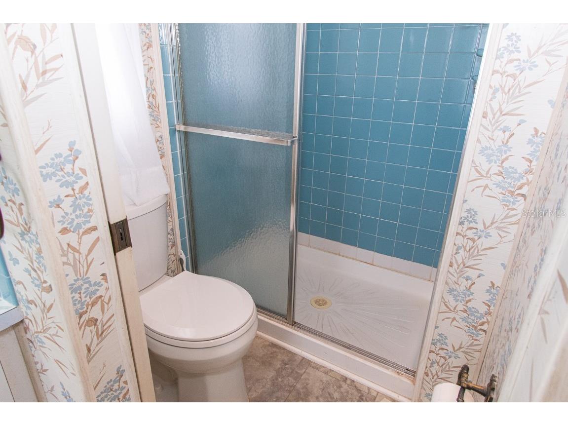 291 Lake Tarpon Drive Palm Harbor FL 34684 TB8460996 image41