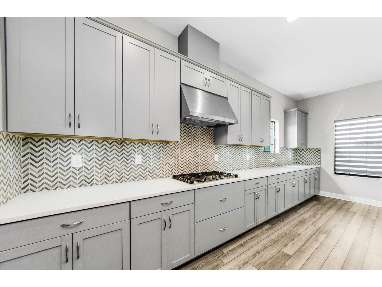 291 Mossy River Court Brandon FL 33511 TB8437844 image14