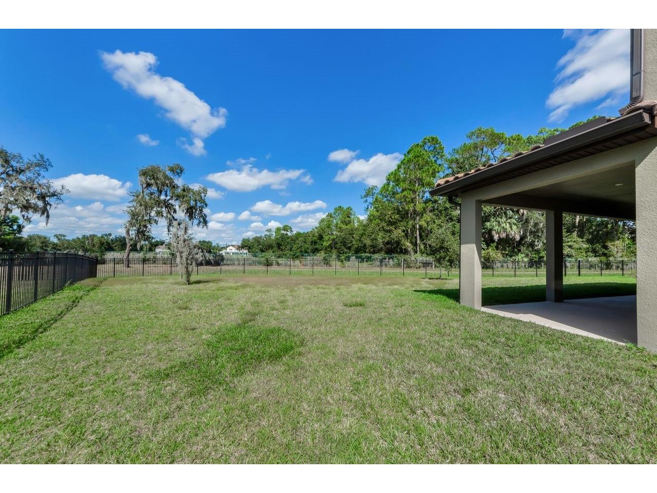 291 Mossy River Court Brandon FL 33511 TB8437844 image36