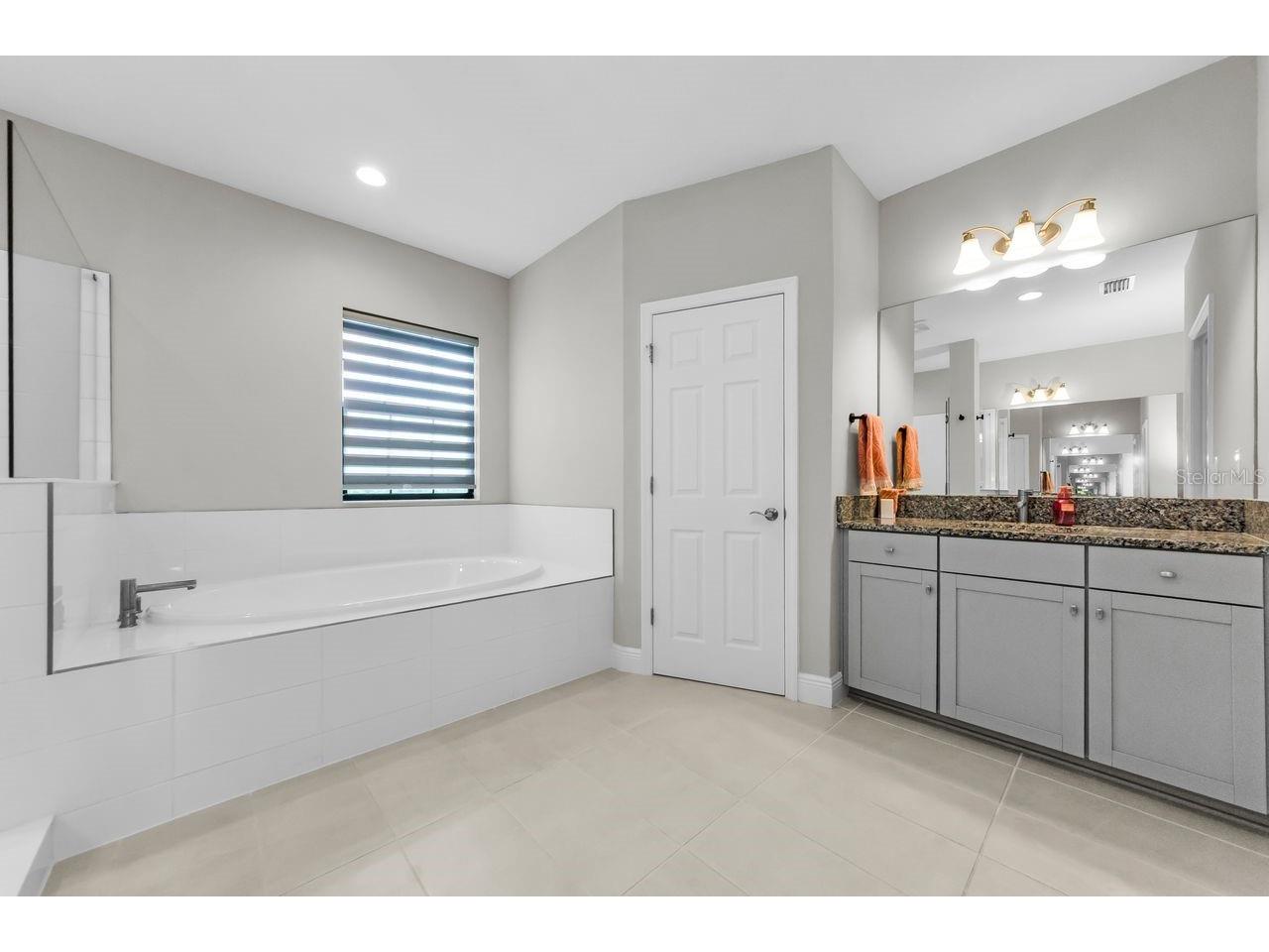 291 Mossy River Court Brandon FL 33511 TB8437844 image45