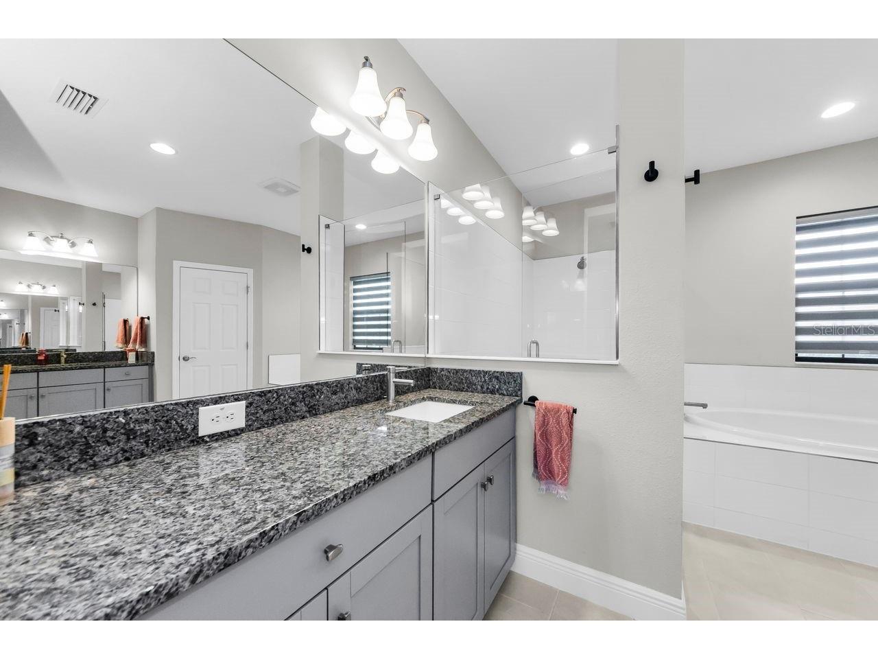 291 Mossy River Court Brandon FL 33511 TB8437844 image46