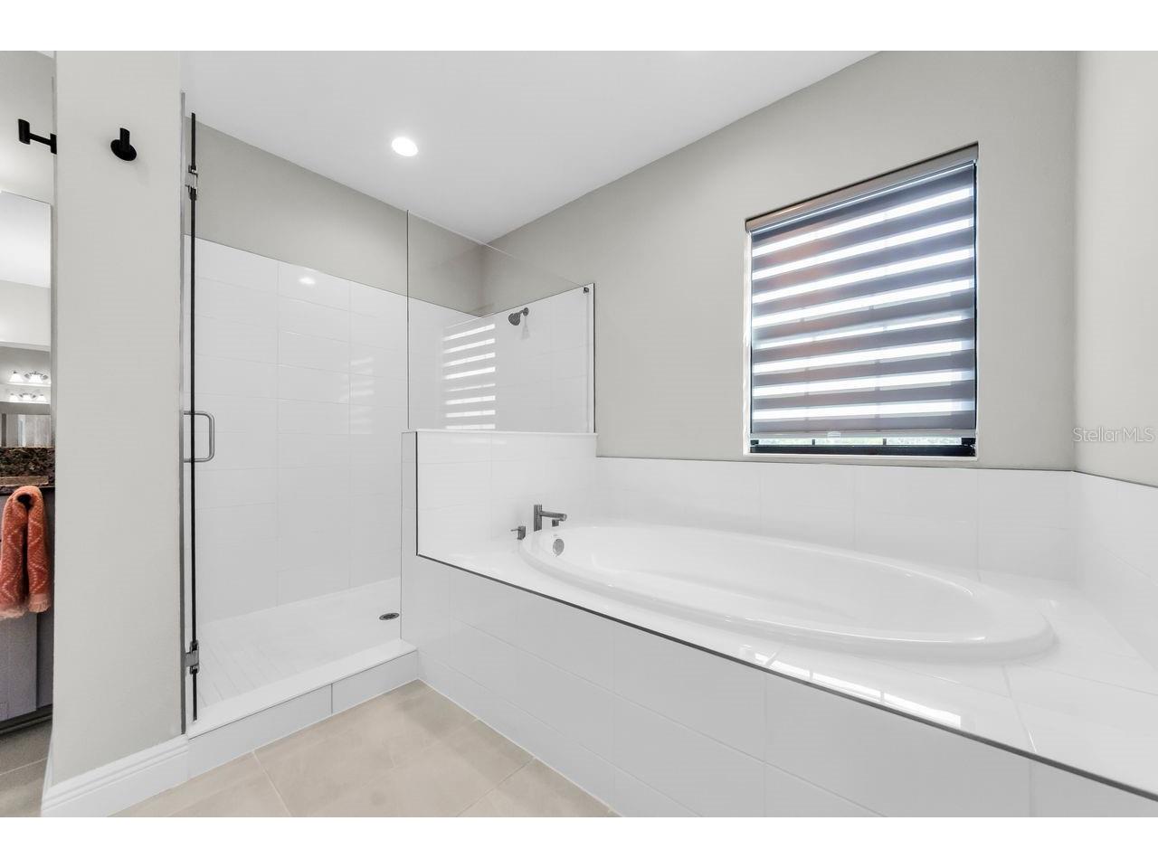 291 Mossy River Court Brandon FL 33511 TB8437844 image47