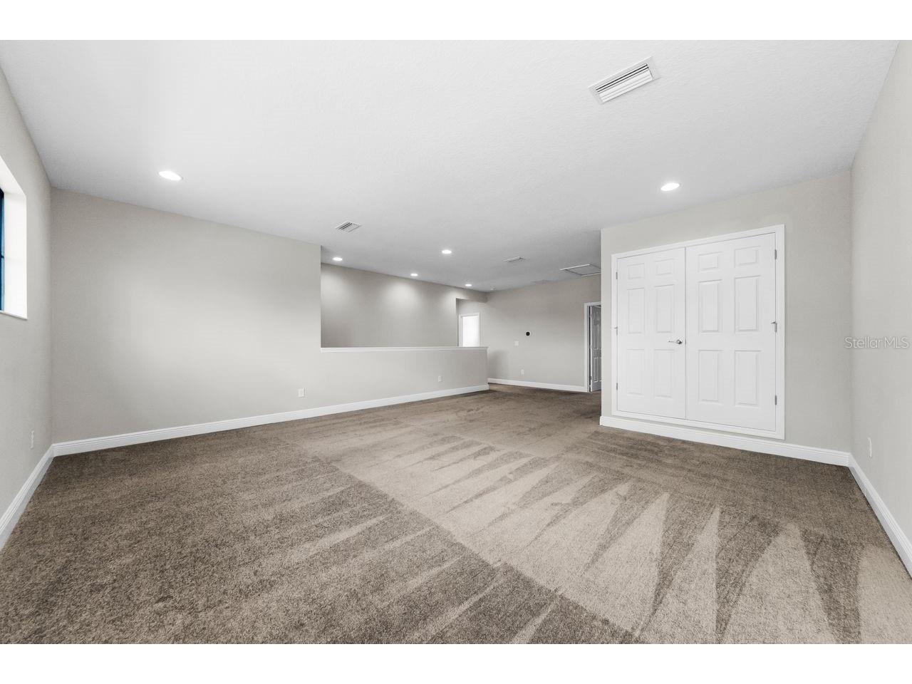 291 Mossy River Court Brandon FL 33511 TB8437844 image49