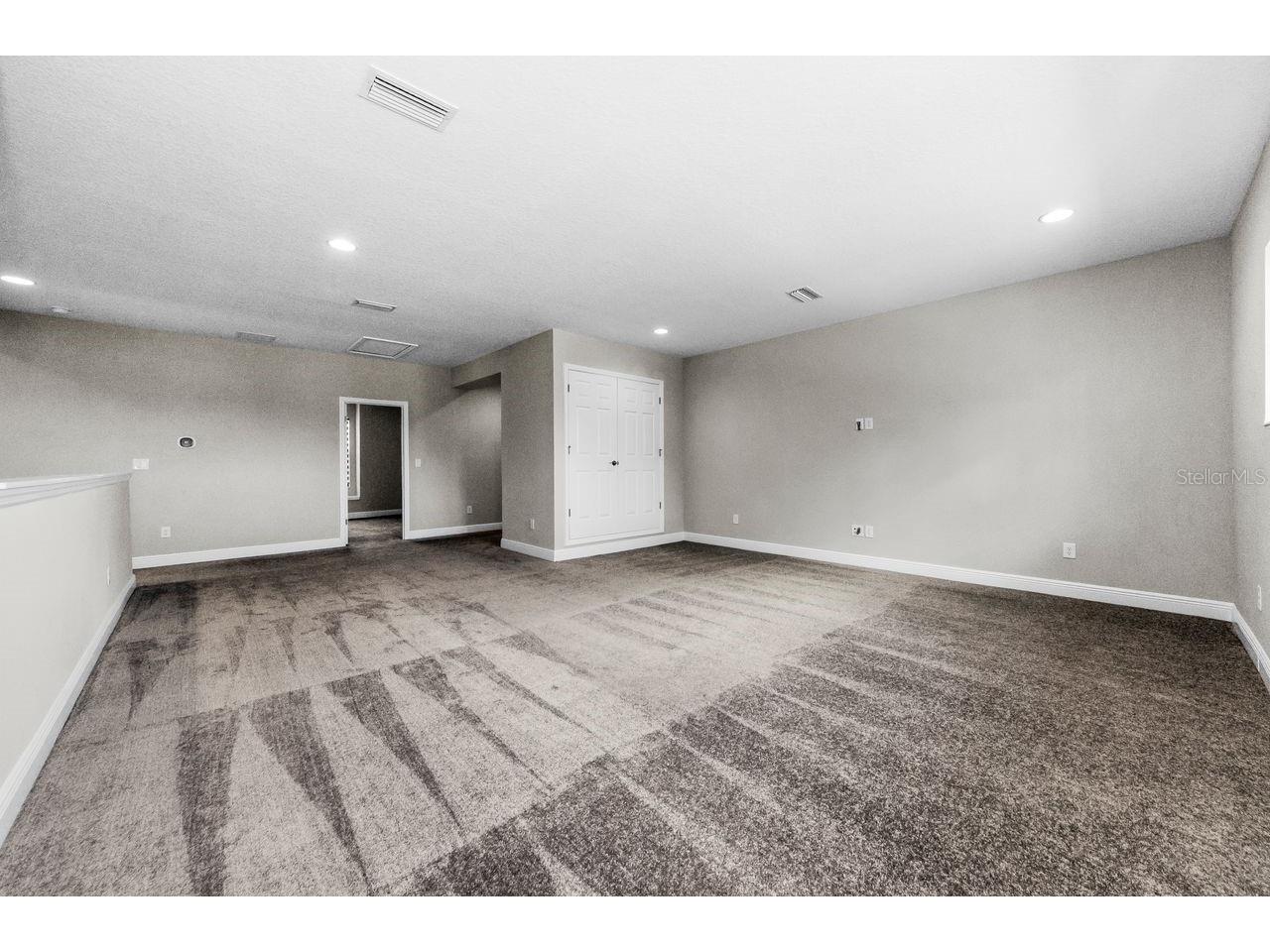 291 Mossy River Court Brandon FL 33511 TB8437844 image50