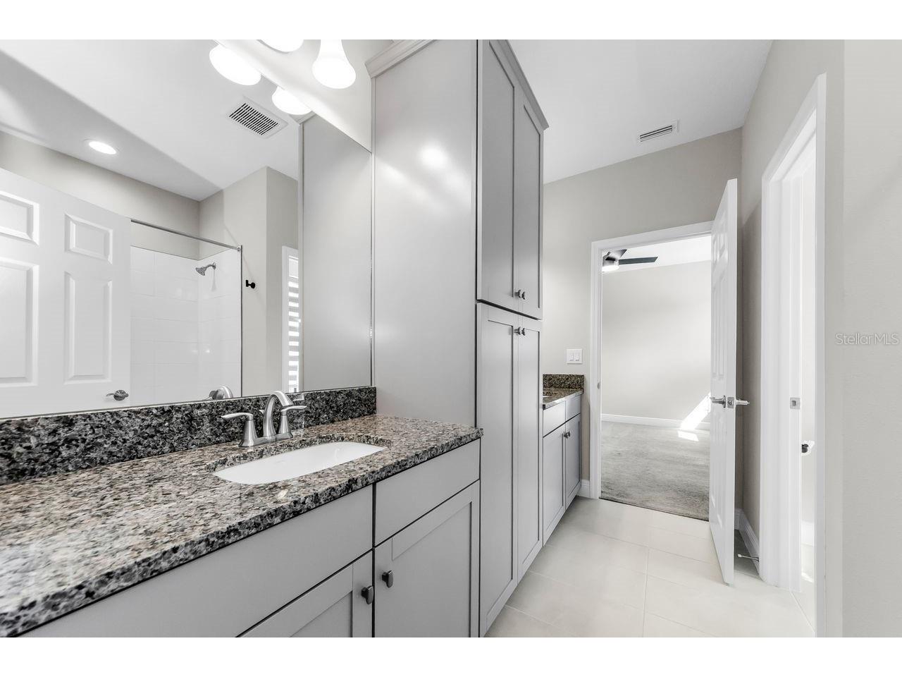 291 Mossy River Court Brandon FL 33511 TB8437844 image53